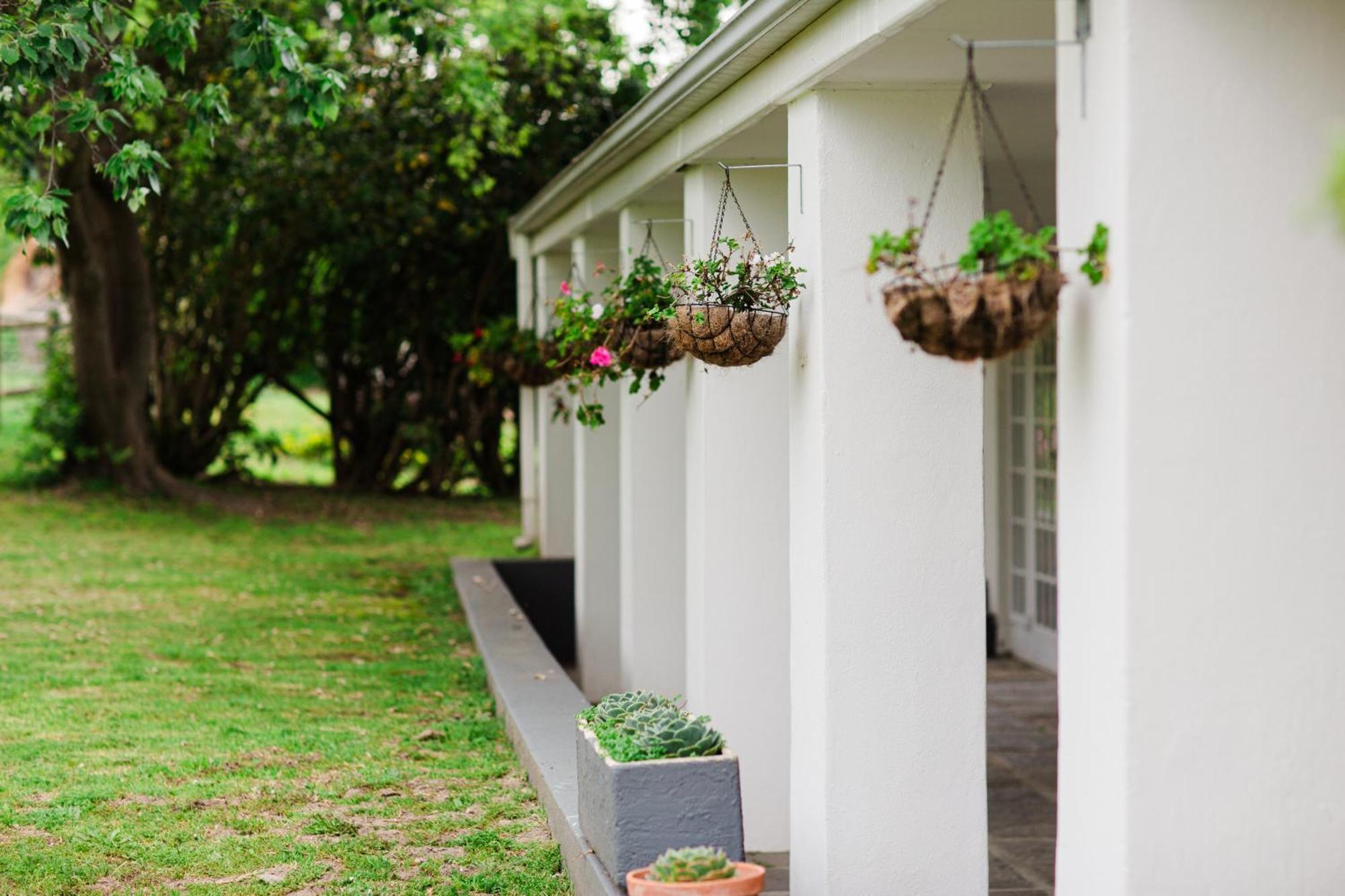 Marshden Estate Bed & Breakfast Стеленбош Екстериор снимка