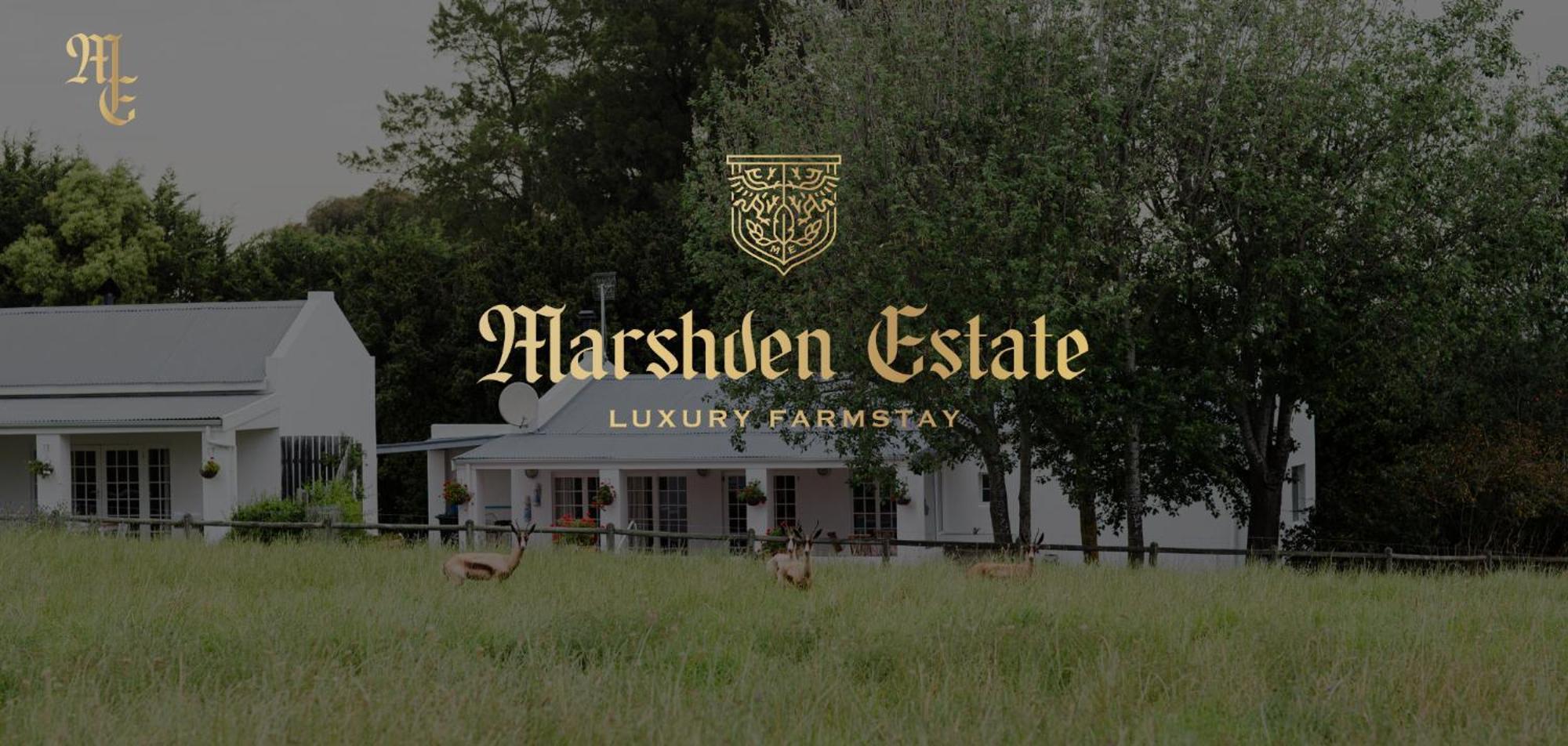Marshden Estate Bed & Breakfast Стеленбош Екстериор снимка
